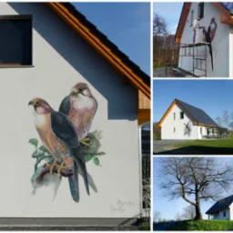 Dwa sokoły pomalowane na elewacji białego domu, artysta na rusztowaniu w trakcie pracy, sygnatura w prawym dolnym rogu.