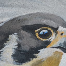 Malarstwo artystyczne Bolesławiec 2