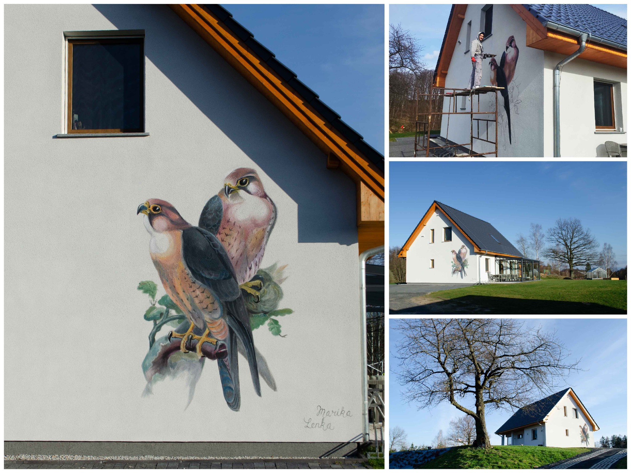 Dwa sokoły pomalowane na elewacji białego domu, artysta na rusztowaniu w trakcie pracy, sygnatura w prawym dolnym rogu.