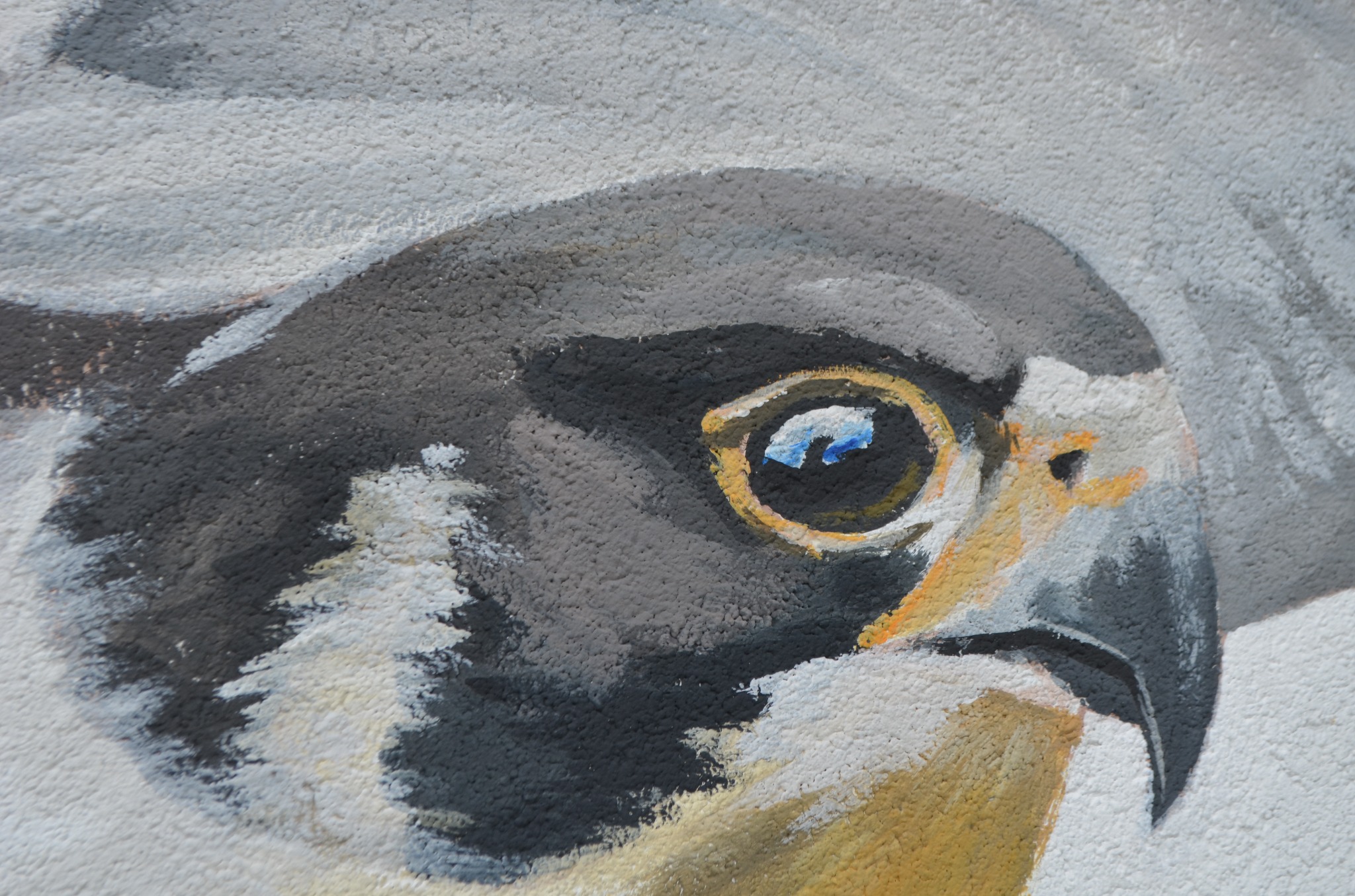Fragment malowidła ściennego przedstawiającego oko i dziób sokoła w zbliżeniu, z widoczną fakturą ściany i pociągnięciami pędzla.