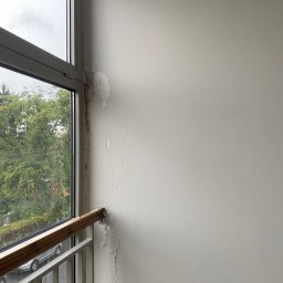 Dominik Mroczkowski - Ściana z widocznymi śladami zawilgocenia i odpadającą farbą przy oknie, widoczne drzewa za oknem.