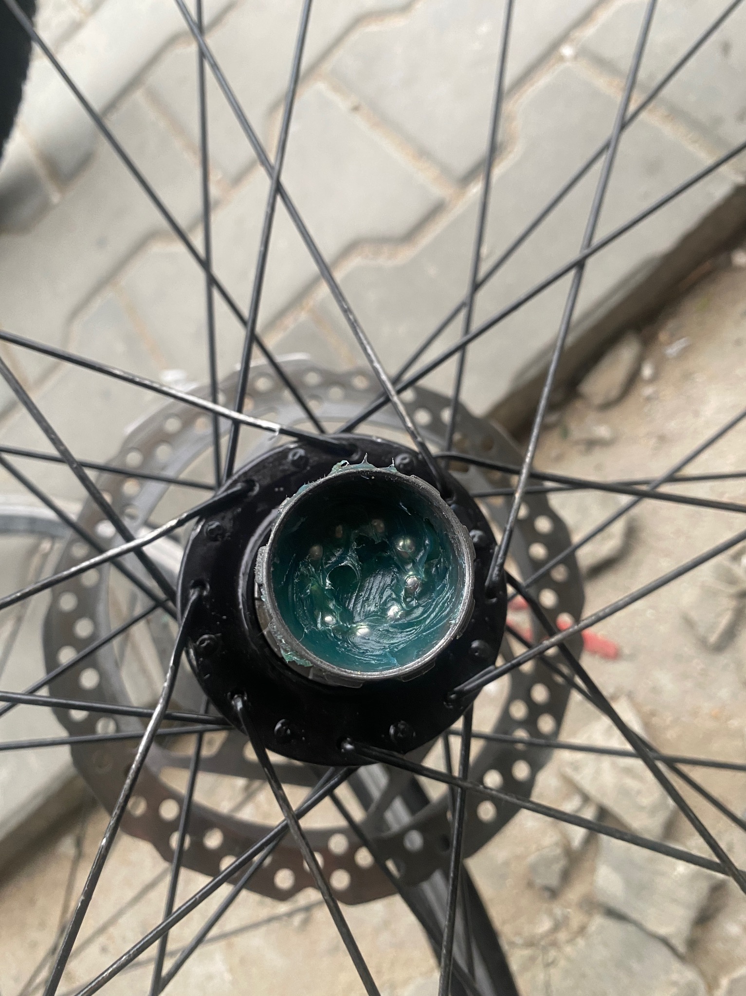 Detail roweru: piasta koła z widocznymi kulkami łożyskowymi zanurzonymi w zielonym smarze, szprychy i tarcza hamulcowa w tle.