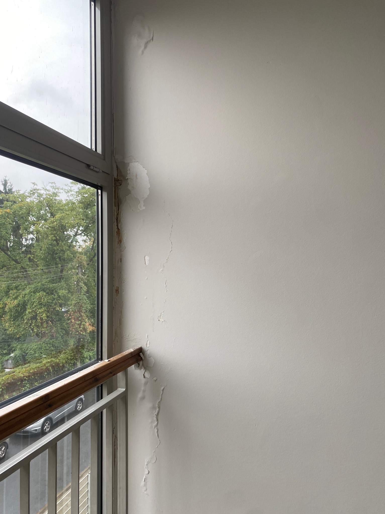 Ściana z widocznymi śladami zawilgocenia i odpadającą farbą przy oknie, widoczne drzewa za oknem.