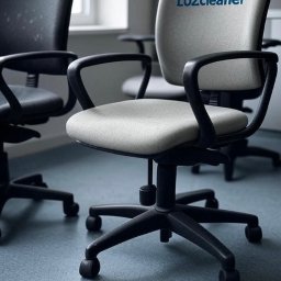 LuZ Cleaner Zbigniew Kurowski - Dobre Trawniki Siedlce