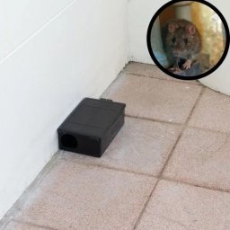 GRUPA STOP SPÓŁKA Z O.O. - Czarna, plastikowa pułapka na gryzonie ustawiona przy białej ścianie, w tle w okręgu widoczny szczur.