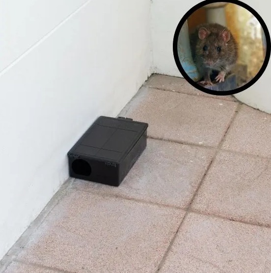 Czarna, plastikowa pułapka na gryzonie ustawiona przy białej ścianie, w tle w okręgu widoczny szczur.
