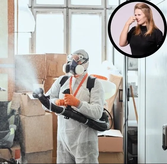 Osoba w kombinezonie ochronnym i masce rozpyla środek, w tle kartony i okno, w prawym górnym rogu wstawka z kobietą zatkaną nos.