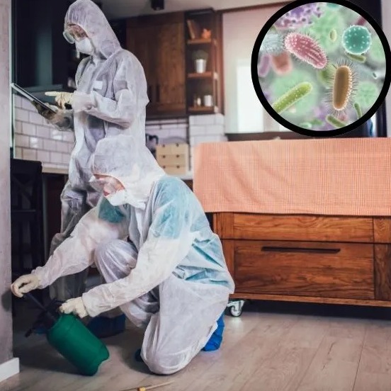 Dwóch techników w kombinezonach ochronnych, maskach i okularach, jeden opryskuje ścianę zielonym spryskiwaczem, drugi trzyma tablet i wskazuje palcem, w tle grafika powiększonych bakterii.