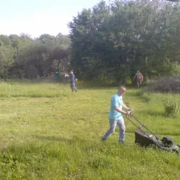 Koszenie Trawy, Karczowanie Prace Porządkowe na Posesjach