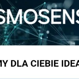 Tworzenie stron internetowych Olkusz 4