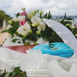 RafalSaduraFotograf.pl - Dwa złote pierścionki ślubne leżące na turkusowej poduszce w białej, ceramicznej muszli, otoczone białymi i różowymi kwiatami na plaży.