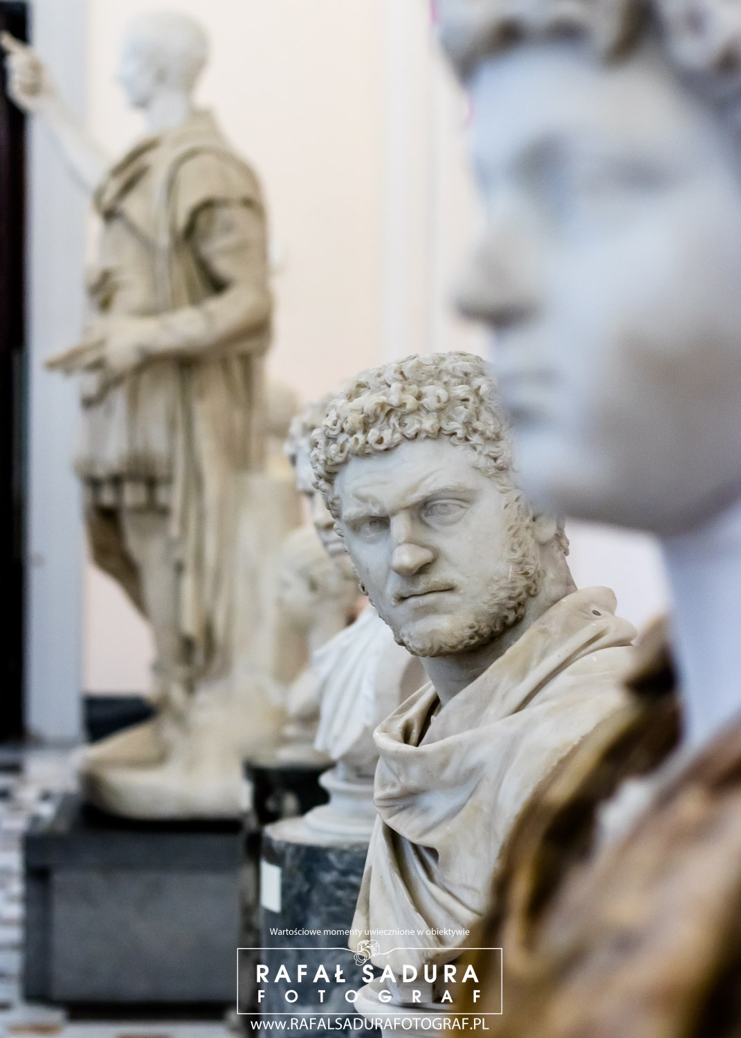 Rząd marmurowych popiersi i figur w muzeum, z ostrym oświetleniem bocznym podkreślającym detale rzeźb.