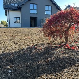 JS INVEST JAKUB DUNST - Metamorfoza podwórka