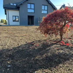 Metamorfoza podwórka