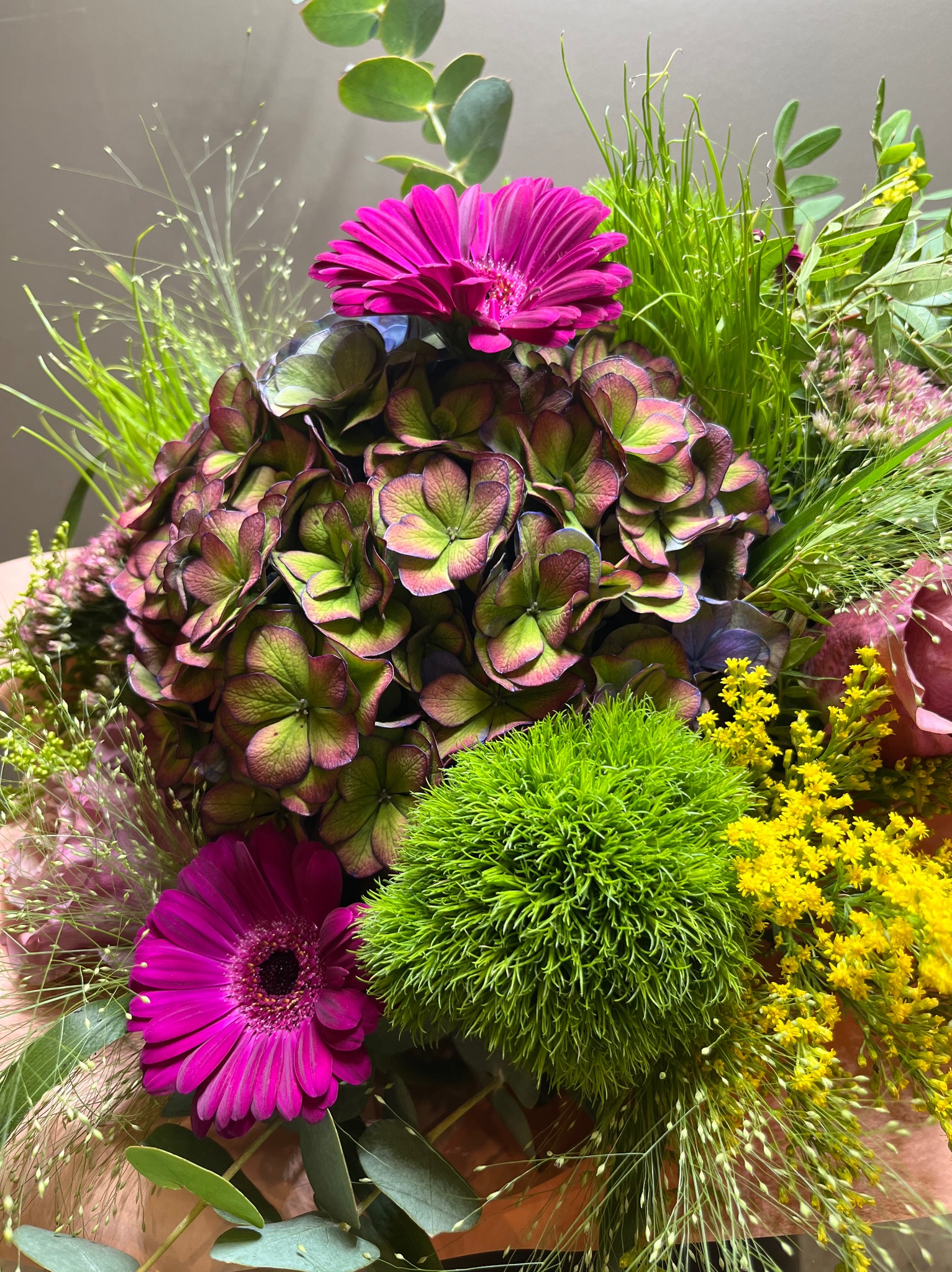 Kompozycja kwiatowa z hortensją o zielono-bordowych płatkach, fuksjowymi gerberami, kulistym zielonym goździkiem i drobnymi żółtymi kwiatami, uzupełniona zielonymi źdźbłami trawy i gałązkami...