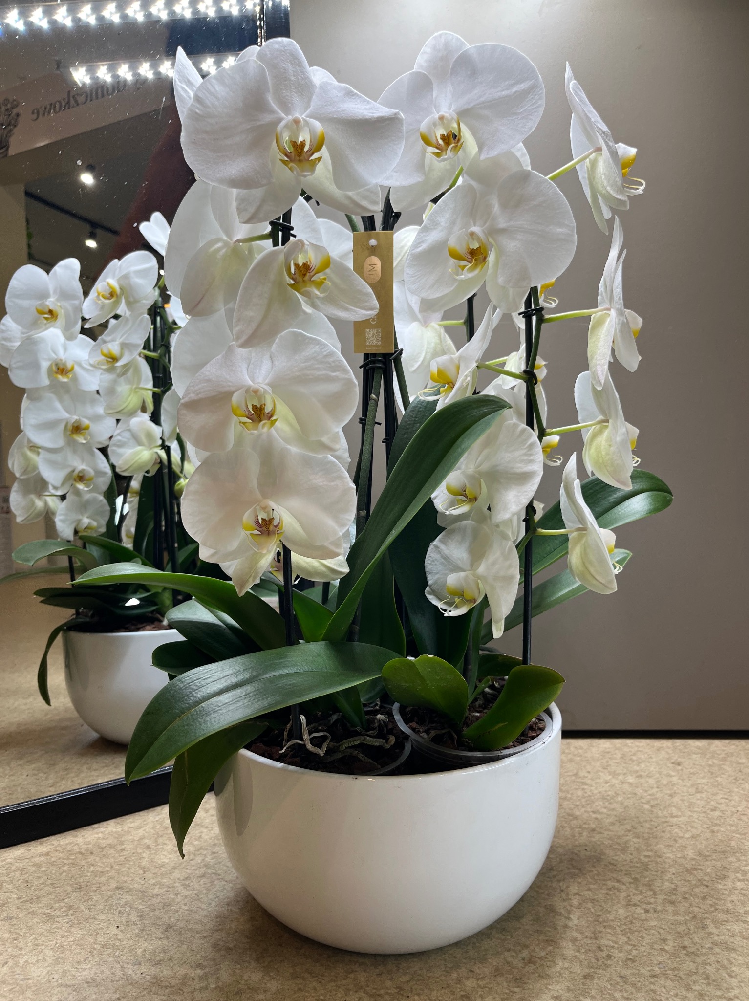 Dwa identyczne białe storczyki Phalaenopsis w białych, okrągłych doniczkach, ustawione obok lustra, które odbija jeden z nich, tworząc wrażenie symetrii.