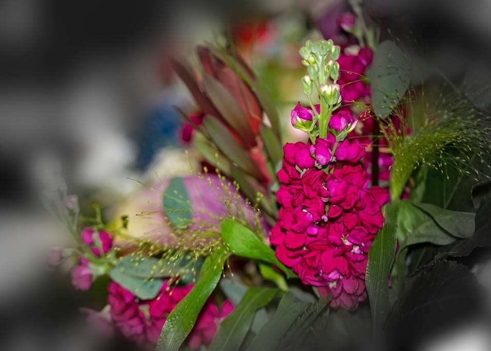 Bukiet z ciemnoróżowych kwiatów z zielonymi pąkami i trawami dekoracyjnymi, w tle inne kwiaty i liście, artystyczne rozmycie.