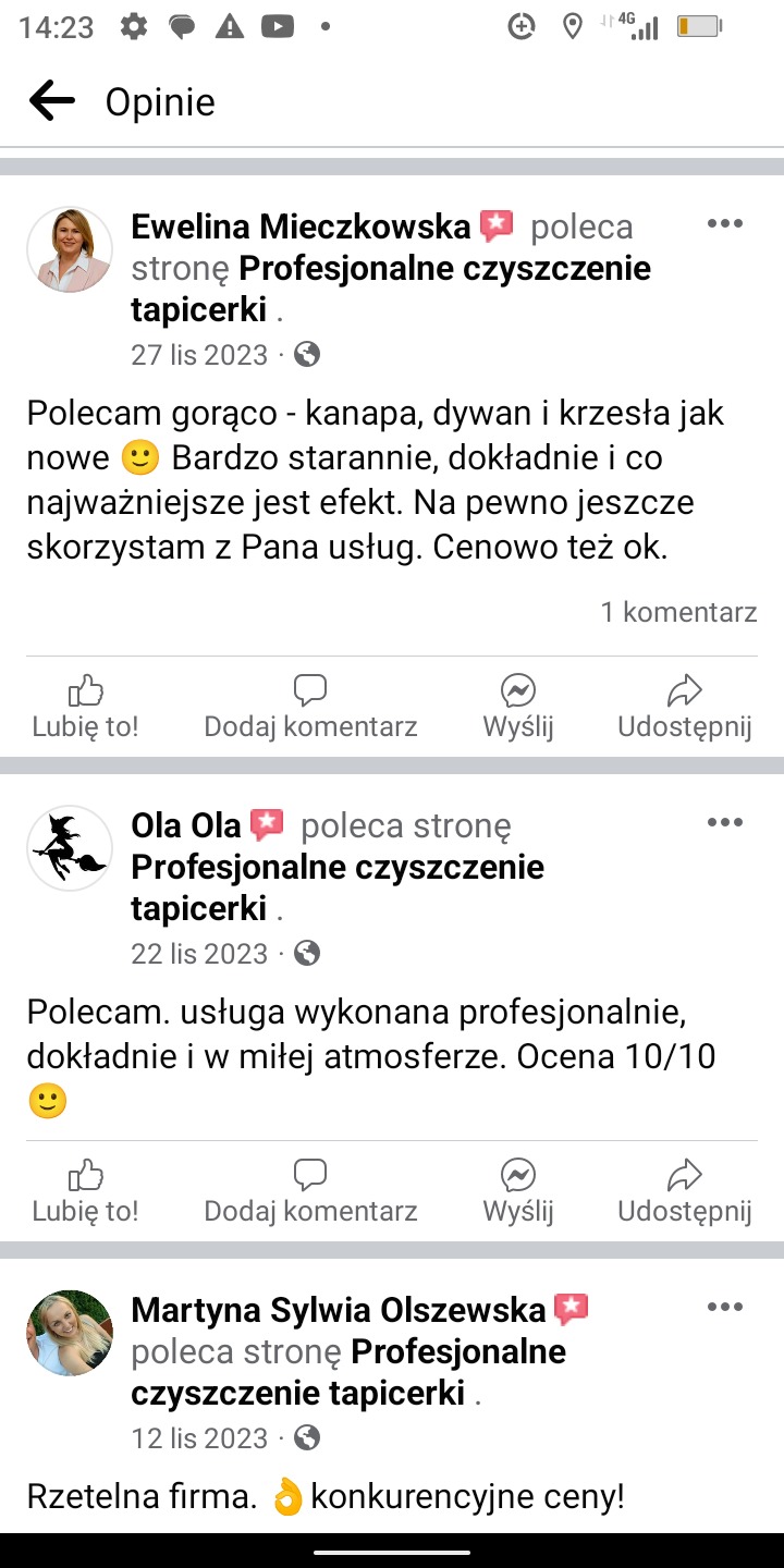 Zrzut ekranu z pozytywnymi opiniami klientów na temat profesjonalnego czyszczenia tapicerki, widoczne nazwiska i zdjęcia profilowe osób polecających usługę, daty wpisów oraz fragmenty treści recenzji.