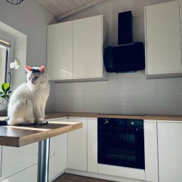 Kuchnie na wymiar Piaseczno 4