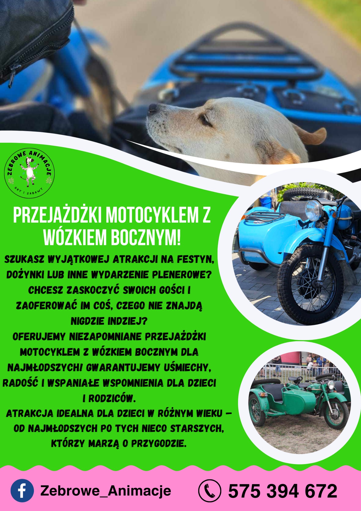 Grafika reklamowa oferująca przejażdżki motocyklem z wózkiem bocznym dla dzieci, z logiem firmy ZeBrowe Animacje, numerem telefonu i zdjęciem psa w wózku bocznym.