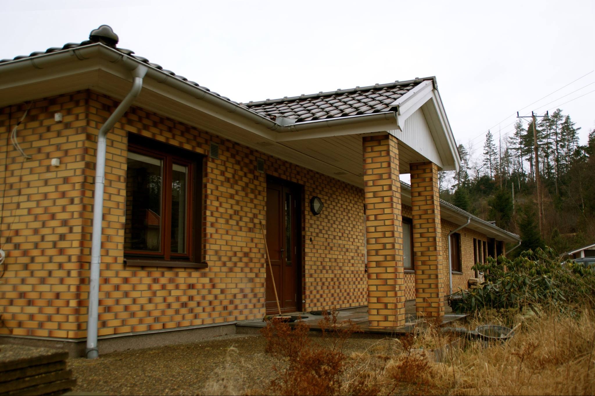 Dom jednorodzinny z żółtej cegły z brązowymi oknami i drzwiami, widok z zewnątrz w pochmurny dzień, z widoczną roślinnością i elementami otoczenia.