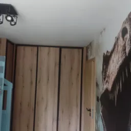 Wnętrze pokoju dziecięcego z dużą szafą przesuwną o drewnianym wykończeniu i czarnych obramowaniach, na ścianie fototapeta z motywem dinozaura.