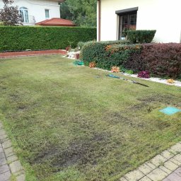 Przycinanie drzew Warszawa 3