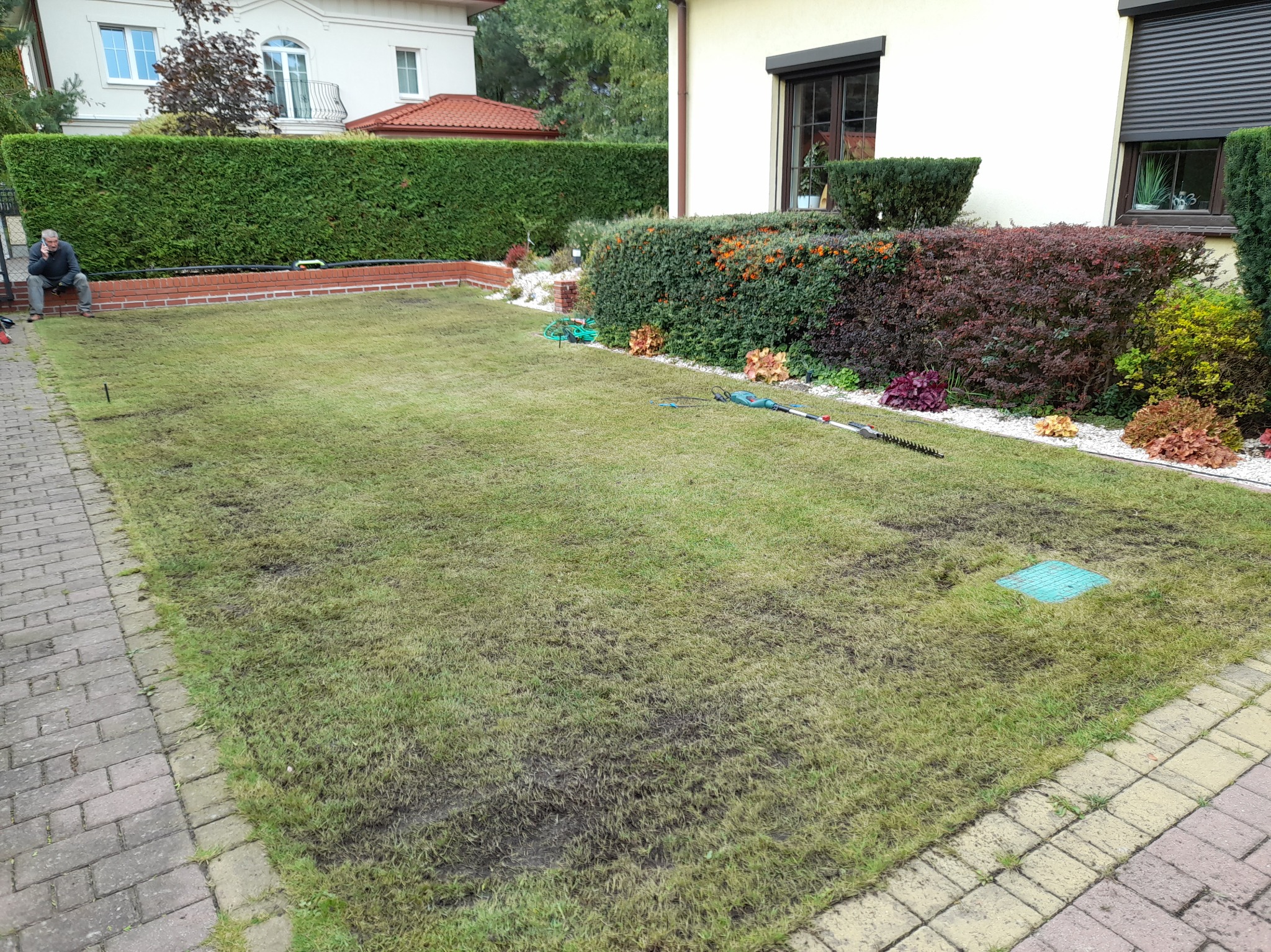 Świeżo założony trawnik z widocznymi śladami po aeracji, z systemem nawadniania i siedzącym mężczyzną na tle żywopłotu.