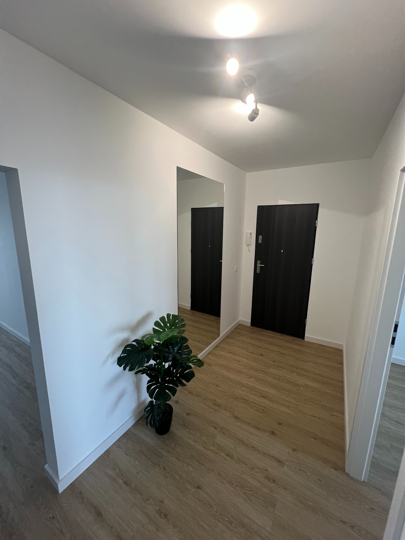 Wnętrze przedpokoju po remoncie: białe ściany, drewnopodobne panele podłogowe, duże lustro, czarne drzwi wejściowe, oświetlenie punktowe i roślina doniczkowa Monstera deliciosa.