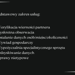 Detektyw Lublin 2