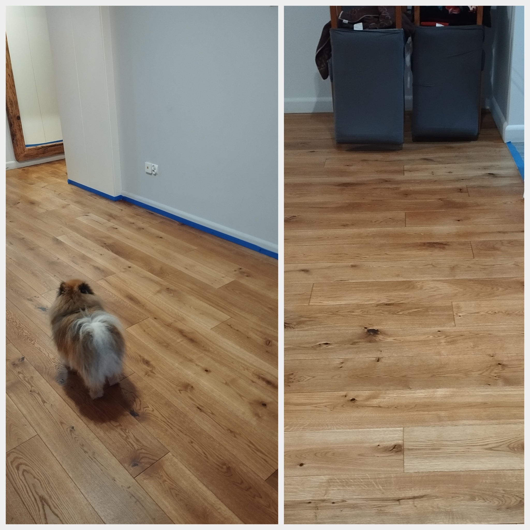 Efekt po barwieniu deski dębowej, woski Saicos.