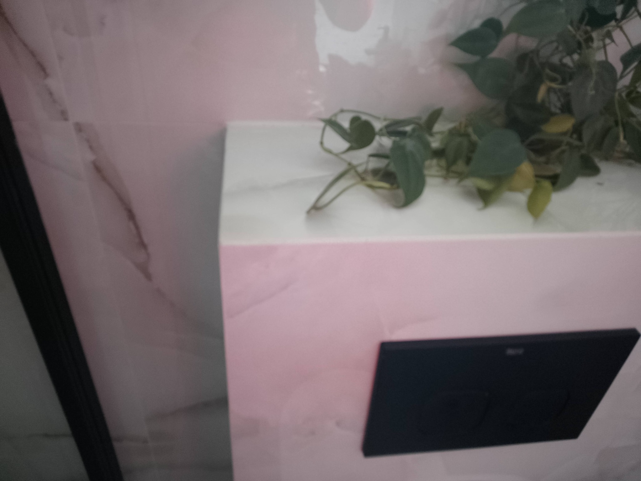 Fragment łazienki z marmurową półką, na której stoi roślina doniczkowa; w tle widoczna ściana z płyt imitujących marmur, a na dole czarny przycisk spłuczki WC.