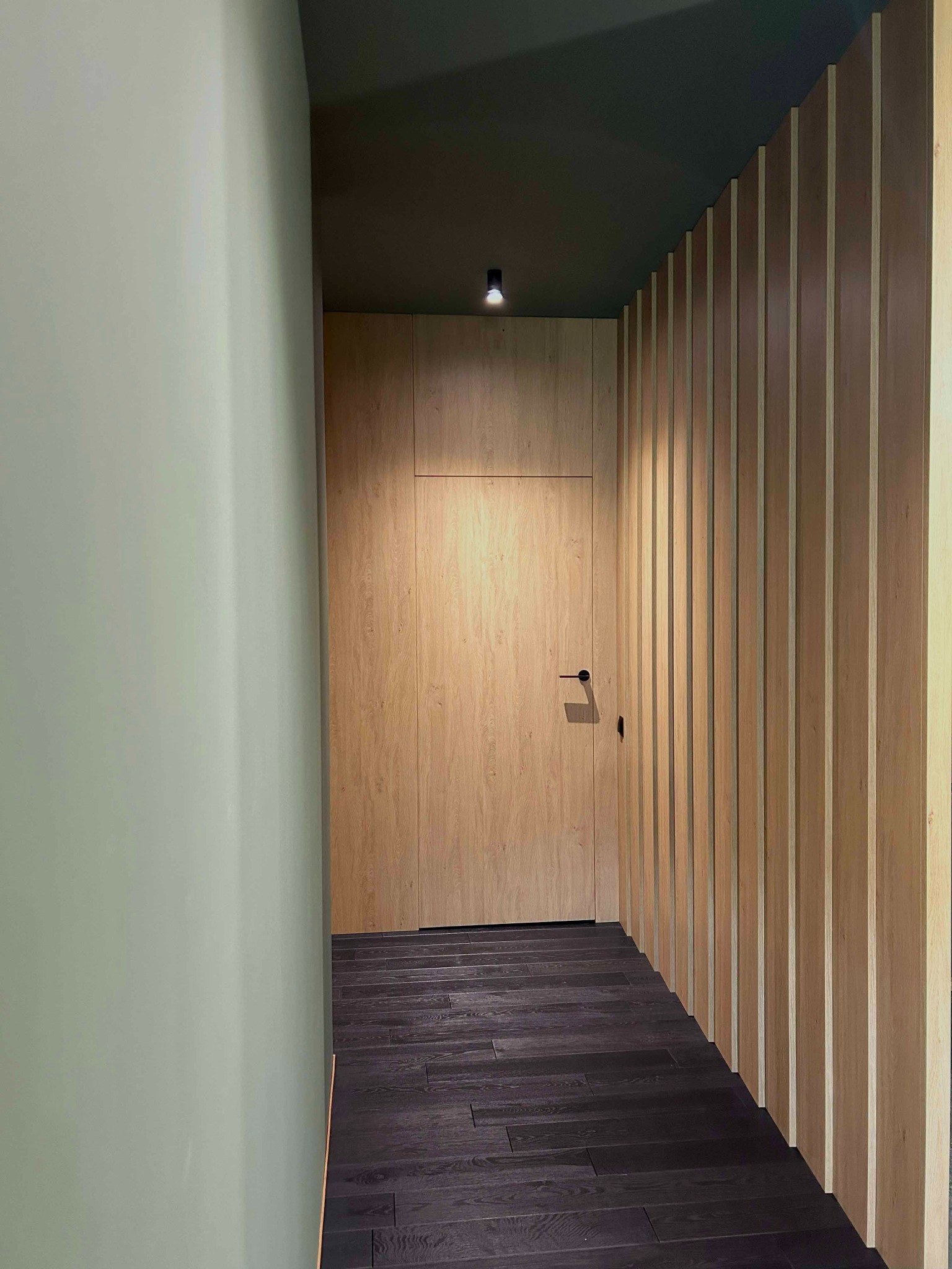 Nowoczesny przedpokój z drewnianą zabudową: ukryte drzwi zintegrowane ze ścianą z pionowych lameli, ciemna podłoga z desek, oliwkowa ściana i ciemnozielony sufit z punktowym oświetleniem.
