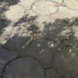 Michał Ostaszkiewicz - Szare, okrągłe płyty chodnikowe z dekoracyjnym wzorem, miejscami porośnięte zielenią i zacienione przez liście drzew.