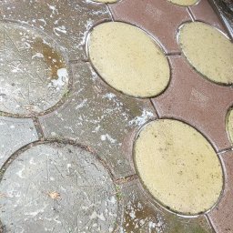 Michał Ostaszkiewicz - Mokra kostka brukowa w trakcie czyszczenia, widoczne plamy piany i resztki wody po myciu, brązowe igły drzew iglastych na powierzchni.