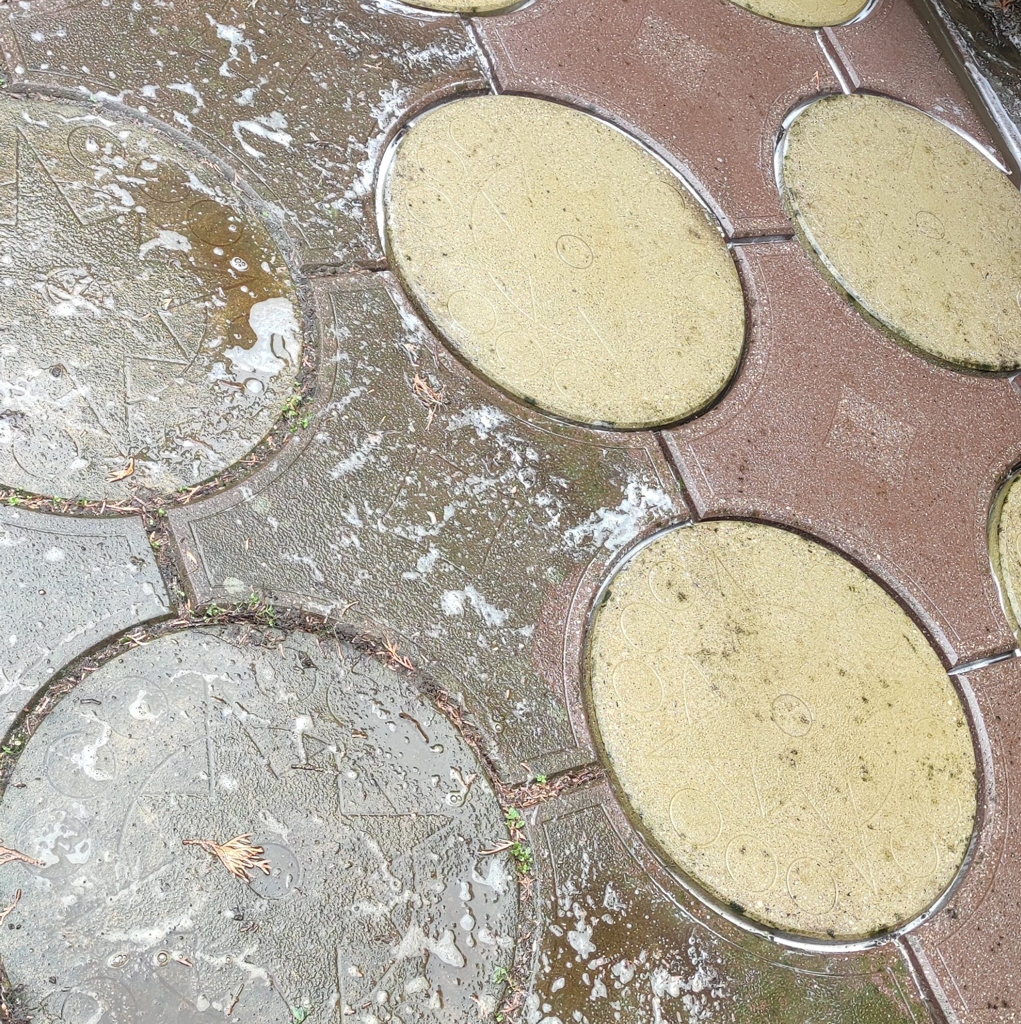 Mokra kostka brukowa w trakcie czyszczenia, widoczne plamy piany i resztki wody po myciu, brązowe igły drzew iglastych na powierzchni.