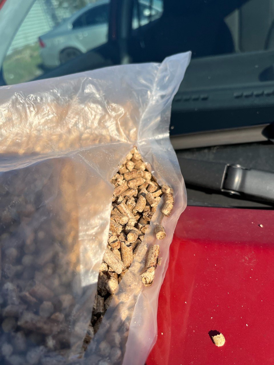 Pellet drzewny w przezroczystym worku foliowym, leżącym na czerwonej masce samochodu, z widocznym fragmentem srebrnego auta w tle.