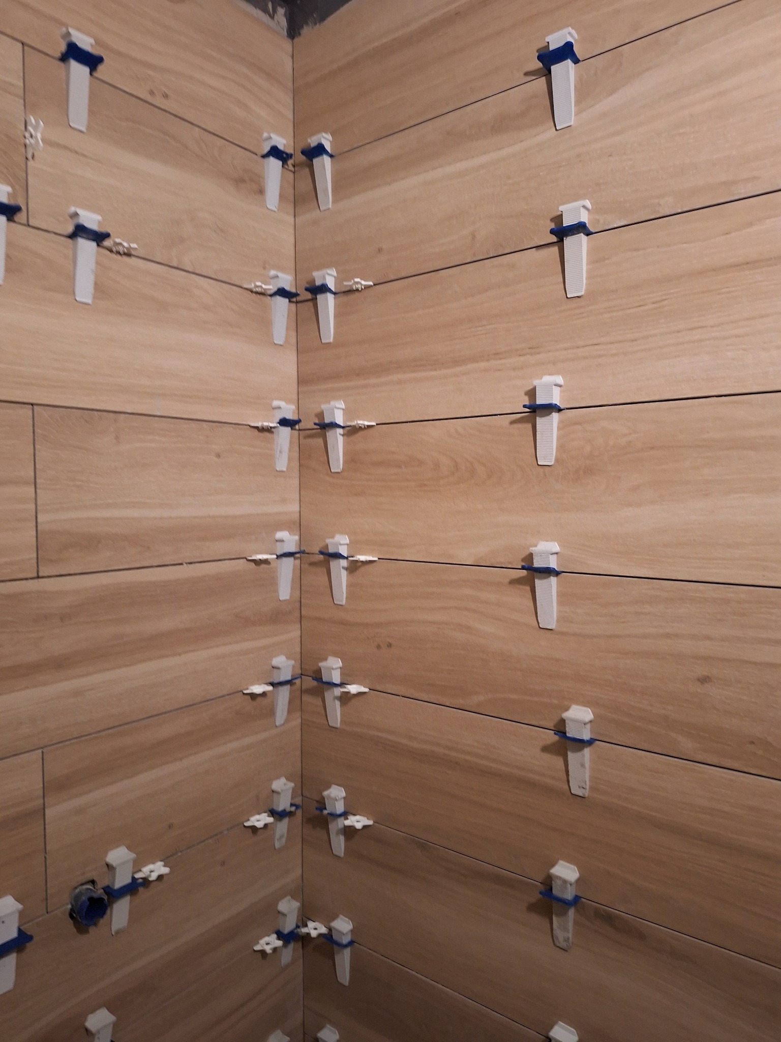 Ściana w trakcie układania płytek imitujących drewno, z użyciem systemu poziomowania płytek z niebieskimi klinami, widoczne spoiny.