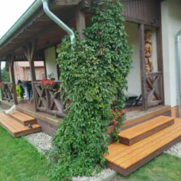 Zadaszony taras z drewnianymi schodami i balustradą, porośnięty zielonym bluszczem. Widoczna rzeźba z drewna, donice z kwiatami i fragment trawnika z białym psem.