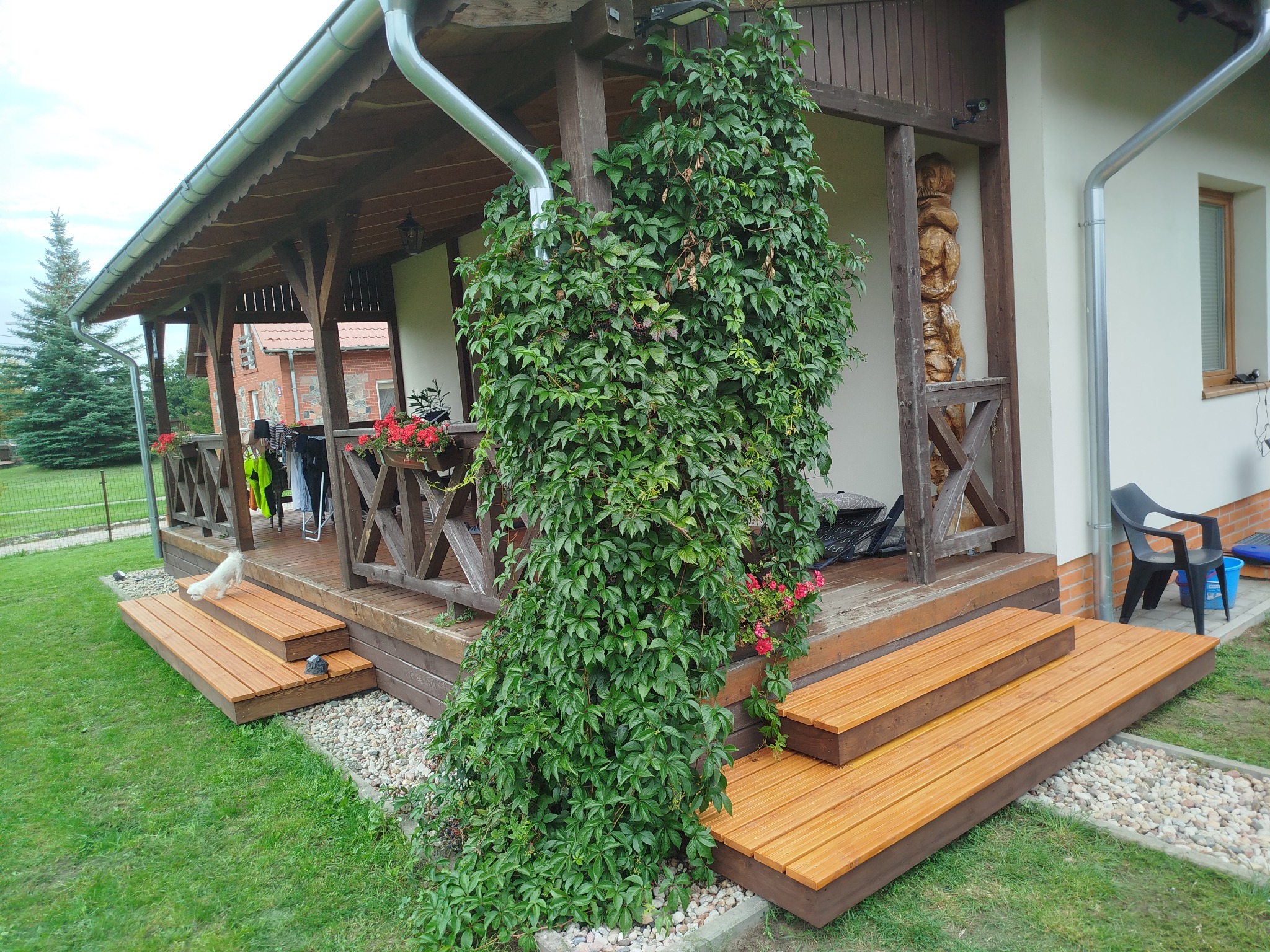 Zadaszony taras z drewnianymi schodami i balustradą, porośnięty zielonym bluszczem. Widoczna rzeźba z drewna, donice z kwiatami i fragment trawnika z białym psem.