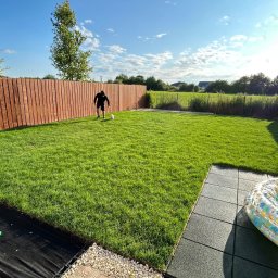 SZEF OGRODU - Świeżo założony trawnik z rolki, ogrodzenie z drewnianych desek, osoba z psem w oddali, mały basen ogrodowy w rogu. Słoneczny dzień, równo przystrzyżona trawa.