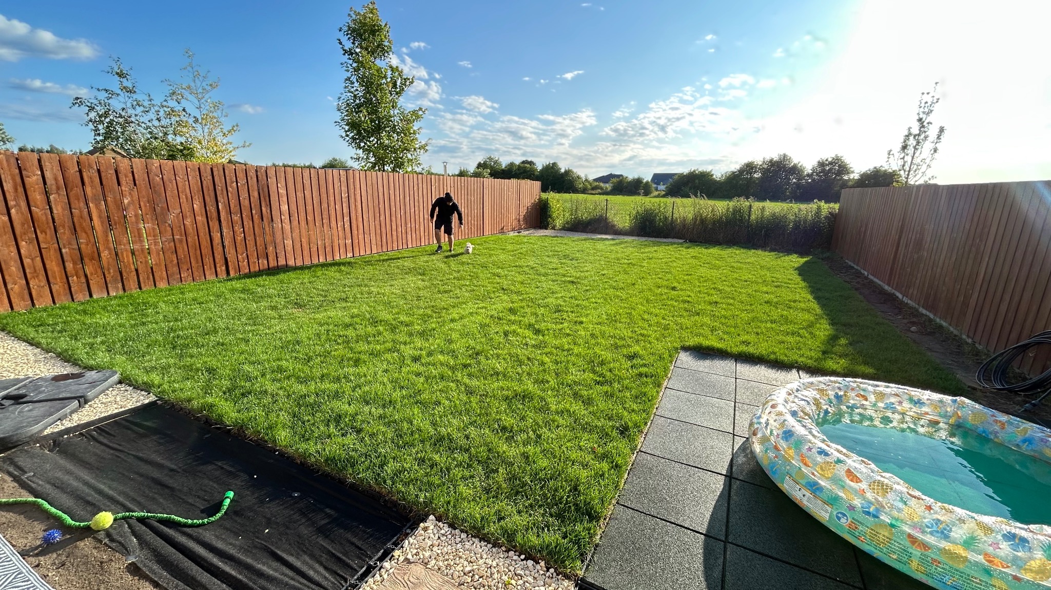 Świeżo założony trawnik z rolki, ogrodzenie z drewnianych desek, osoba z psem w oddali, mały basen ogrodowy w rogu. Słoneczny dzień, równo przystrzyżona trawa.