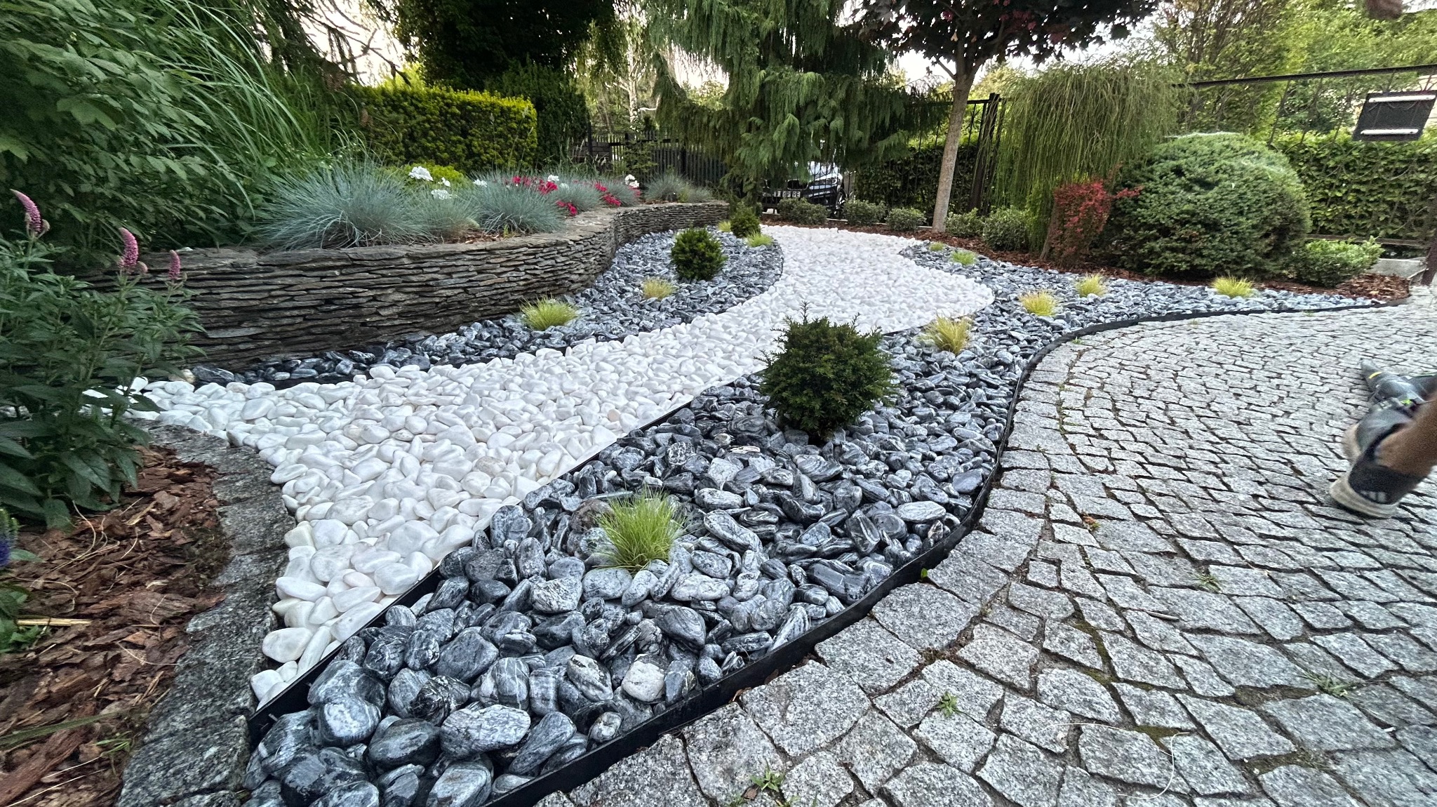 Ogród z ścieżką z białych kamieni, obrzeża z szarych kamieni, kostka brukowa, rośliny ozdobne i krzewy. Widok na zadbany, nowoczesny ogród.