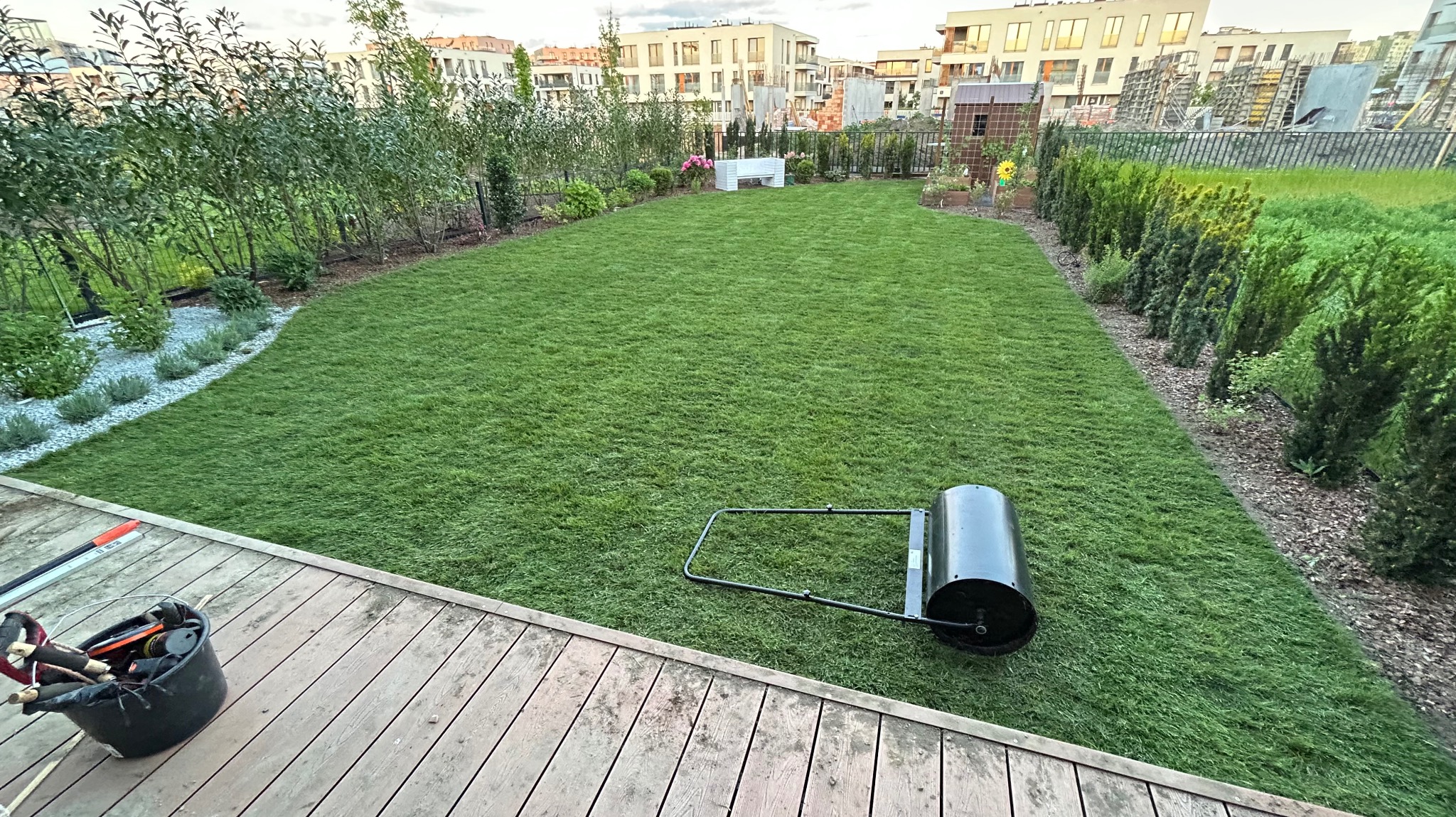 Świeżo ułożona trawa z rolki w ogrodzie, wyrównana walcem. Widoczne narzędzia ogrodnicze i zadbane rabaty z krzewami. W tle zabudowa miejska.