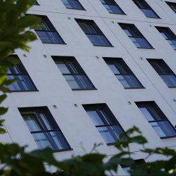 Foto Art-Live - Fasada nowoczesnego budynku z regularnym układem okien w czarnych ramach, widziana z dołu przez liście drzew, z żółtą lampą uliczną po prawej stronie.