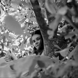 Foto Art-Live - Czarno-białe zdjęcie dziewczynki czytającej książkę siedząc w rozwidleniu drzewa, otoczonej liśćmi, z delikatnym uśmiechem skierowanym w stronę obiektywu.