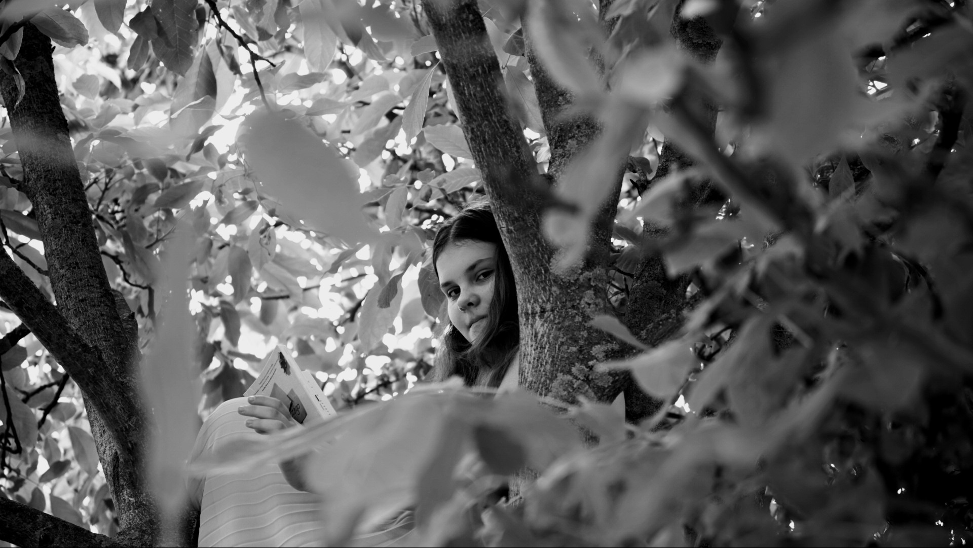 Czarno-białe zdjęcie dziewczynki czytającej książkę siedząc w rozwidleniu drzewa, otoczonej liśćmi, z delikatnym uśmiechem skierowanym w stronę obiektywu.