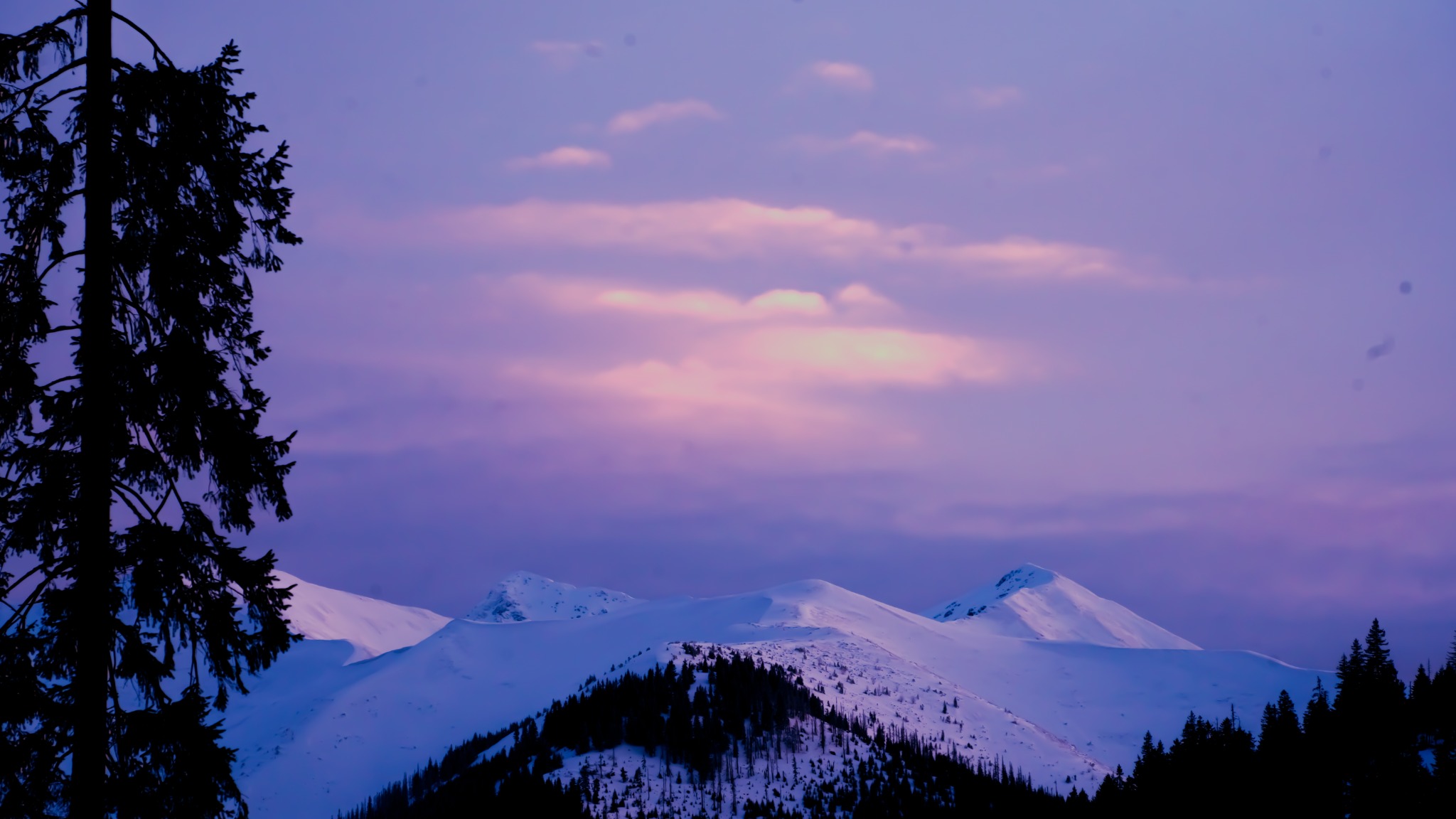 Zimowy krajobraz górski o zmierzchu, z ośnieżonymi szczytami i sylwetką drzewa na pierwszym planie, oświetlony fioletowo-różowym światłem zachodzącego słońca.
