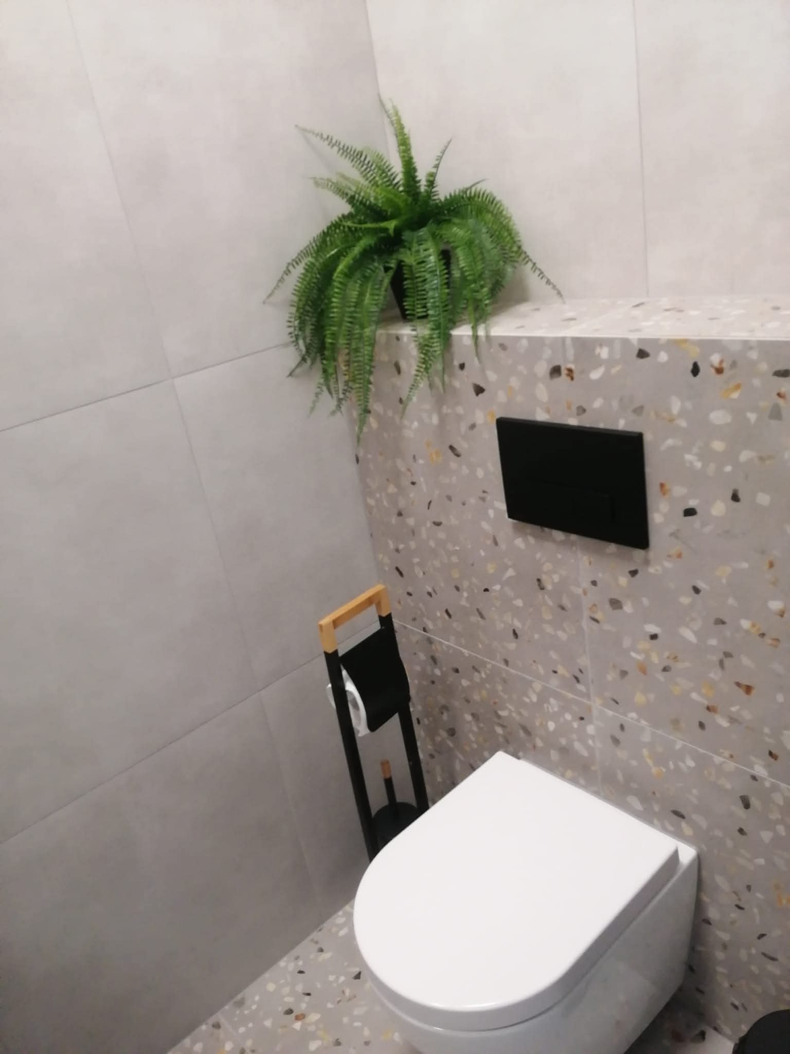 Nowoczesna łazienka z wiszącą toaletą, płytkami lastryko, czarnym przyciskiem spłukiwania i paprotką. Minimalistyczny design z akcentem roślinnym.