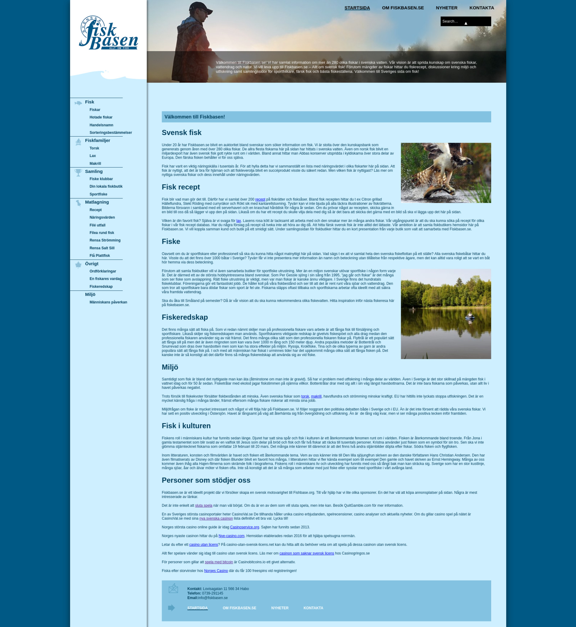 Fiskbasen.se: strona internetowa o rybach w Szwecji. Zawiera opisy gatunków, przepisy, porady dla wędkarzy i informacje o środowisku. Layout strony jest czytelny.